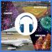 PROTEAR SNR 28 dB Kids Ear Defenders - Blue Nebula Noise Cancelling Ear Muffs | Hearing Protectors for Children, Toddlers, Babies | Ideal for Concerts & Study - Buy Online on GoSupps.com