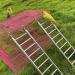 Gekmor 2 Pack Parrot Ladders - 9 Steps Stainless Steel Rustproof Non-Slip Perfect Bird Cage Accessories for Nymphensittich Cacadu & Love Birds - Buy Online on GoSupps.com