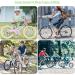 210 Colorful Bicycle Spokes - Fun Accessories for Kids | International Shipping Available - Buy Online on GoSupps.com