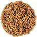 Black Soldier Fly Larva 800g ( 5 liters) PREMIUM QUALITY Black Soldier Fly Treat for Birds Hedgehogs Turtles Reptiles Fish Rodents 100% Natural no additives (800g Soldier Fly) - Buy Online on GoSupps.com