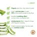 Saem Jeju Fresh Aloe 99% Aloe Vera Soothing Gel | 10.14 fl oz - Hydration & Skin Relief - Buy Online on GoSupps.com