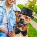 Yewong 2 Pieces Pet Formal Accessories Set - Pet Top Hat with Pet Formal Necktie/Bowtie Birthday Party Gradation Halloween Costumes Accessories for Dog Cat (Black-A) - Buy Online on GoSupps.com