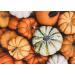 Raw Pepitas 8 oz | Non-GMO Pumpkin Seed Kernels for Baking & Snacking | Vegan, Kosher, Keto | High Protein & Essential Fatty Acids | Unsalted & Shell-Free - 8oz (1 Pack) - Buy Online on GoSupps.com