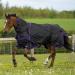 Turnout Rug 0g Lightweight GALLOP Trojan Dual Rug & Neck Set 600Denier (6'6" Black/Purple bindings) 6'6" Black/Purple bindings