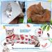 3 Pieces Cat Recovery Suit Kitten Recovery Suit E-Collar Alternative for Cats and Dogs Abdominal Skin Anti Licking Pajama Suit Multi Style Medium - Buy Online on GoSupps.com