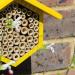 Bee Hotel with Wildflower Seeds - Boost Solitary Mason Bee Population with Yellow Bee House - Buy Online on GoSupps.com