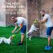 Buy Bull Fit Dog Toy - 30 cm Robust Fire Hose K9 Training & Tug-of-War - Handmade & Durable - Buy Online on GoSupps.com