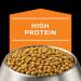 Purina Pro Plan Veterinary OM Overweight Management Canine Formula Dry Dog Food 6 lbs - Buy Online on GoSupps.com