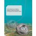 Hlotmeky 1oz Saltwater Coin Sinkers for Drifting Trolling Fishing - 10 Pack - Buy Online on GoSupps.com