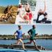 Colexy Anti-Slip Couples Yoga Socks for Men & Women - Non-Slip Pilates Socks in Black & Navy (Sizes M 35-42) - Buy Online on GoSupps.com