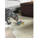YEOWWW organic very strong crinkle catnip cat toy (1 x Purple L 6cm H 7cm) Purple 1x6x7 cm (Pack of 1) - Buy Online on GoSupps.com