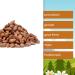 Buy Caramelized & Roasted Burnt Almonds 1kg-3kg - Crispy Nutty Delight for Christmas & Fair Markets | Nut Fox 3kg Bucket - Buy Online on GoSupps.com