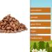 Buy Delicious Burnt & Caramelized Almonds 1kg - 3kg | Crispy Roasted & Sugared Almonds | Nut Fox - Perfect for Christmas & Fair Markets - Buy Online on GoSupps.com