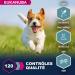 Eukanuba Adult Dog Dry Food For Small and Medium Breeds Salmon & Barley 2.5kg - Buy Online on GoSupps.com