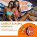 100ml Carrot Tanning Intensifying Gel - Outdoor & Tanning Bed Accelerator for Women & Men | Natural Moisturizing Tanning Cream & Fast Bronzing Butter - Buy Online on GoSupps.com