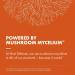 Host Defense Breathe* Extract - Immune & Respiratory Support Mushroom Liquid Supplement - Herbal Lung Health Supplement with Chaga Reishi & Cordyceps - 2 fl oz (60 Servings)* 2.0 Ounce (Pack of 1) - Buy Online on GoSupps.com
