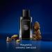 Banderas Antonio The Icon Eau De Perfume For Men - Long Lasting - Virile Elegant Trendy And Sexy Scent - Wood Amber And Sandalwood Notes - Ideal For Special Events - 1.7 Fl Oz Amber Wood 1.7 Fl Oz (Pack of 1) - Buy Online on GoSupps.com