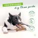 Benebone Wishbone Real Peanuts Medium Durable Dog Chew Toy for Aggressive Chewers | International Shipping Available - Buy Online on GoSupps.com
