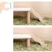 Niteangel Wooden Hamster Climbing Ladder Bridge - Small Animal Toy - 6.3'' Length - Buy Online on GoSupps.com