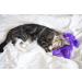 Petstages Cat Pillow - Soft, Soothing & Comforting Toy for Cats - Buy Online on GoSupps.com