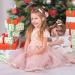 ALLY-MAGIC Christmas Hair Clip Cute Santa Hat Decor Hair Clip for Girls Red Christmas Hair Clips Barrettes Party Birthday Festival Support Baby Gifts Y6-SDMFJ(Snow&Fawn) - Buy Online on GoSupps.com