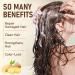 Shampooing naturel au gingembre avec huile de noix de coco pour la croissance et la r paration des cheveux renforce les cheveux ab m s contr le des frisottis renforce l'hydratation et les - Buy Online on GoSupps.com