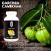 Omnitrition Triple Threat Bundle: OmniTrim Nite Lite, Garcinia Cambogia, Green Coffee Bean Extract - Buy Online on GoSupps.com
