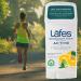 Lafe's Natural Deodorant Stick 2.25oz (2-Pack) | Aluminum & Baking Soda Free for Women & Men | Paraben Free with 24-Hour Protection | Citrus & Bergamot Scent - Buy Online on GoSupps.com