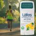 Lafe's Natural Deodorant Stick - Aluminum Free, Paraben Free, 24-Hour Citrus & Bergamot Protection - 2.25oz for Men & Women - Buy Online on GoSupps.com
