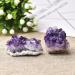 2pcs Natural Amethyst Cluster Quartz Ornaments Stone Crystal Specimen Home Office Decor Purple Feng Shui Stone Crystal Cluster 2pcs 0.78-1.97in Amethyst - Buy Online on GoSupps.com