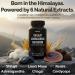 NuroJit Shilajit Ashwagandha Mushroom Capsules Herbal Blend with Lion s Mane Cordyceps Reishi & Chaga Vegan Lab Tested Non-GMO Supplement for Focus Energy Clarity & Daily Balance (60 Caps) - Buy Online on GoSupps.com