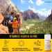 AnuMed Vitamin D3 10,000 IU Cream with Magnesium & Hyaluronic Acid for Skin, Bones & Joints - Moisturizing Dry Skin Lotion with Vitamin E - 3oz - Buy Online on GoSupps.com