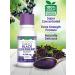 Nature's Truth Black Elderberry Extract 4250mg Syrup - Super Concentrated Sambucus Supplement - Buy Online on GoSupps.com