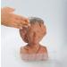 Joseph Enterprises Inc Golden Girls Chia Pet Rose Decorative Pottery Planter Golden Girls Rose - Buy Online on GoSupps.com