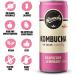 Remedy Kombucha Raspberry Lemonade 12x250ml - Sparkling Live Cultured Drink - Buy Online on GoSupps.com