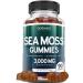 Keto ACV & Sea Moss Gummies for Weight Loss - Advanced Formula (60 Gummies) | Natural Raw Bladderwrack Included - Buy Online on GoSupps.com