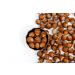 Turcolia Unshelled Hazelnuts 0.55lb | Whole Raw In Shell Nuts | Natural & Unsalted | Easy to Crack | Pack of 1 - Buy Online on GoSupps.com