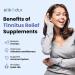 Buy Tinnitus Supplement for Ringing Ears | Herbal Blend & Bioflavonoids | Reduce Ear Tinnitus | 60 Caps - International Shipping - Buy Online on GoSupps.com