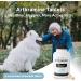Arthramine Glucosamine for Large Dogs - 120 Beef Chewable Tablets | International Veterinary Sciences - Buy Online on GoSupps.com