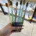 Buy Generic Soft Toothbrush Set | Portable & Travel-Friendly | 6-Pack Sensitive Bristles for Family & Women - Buy Online on GoSupps.com