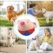 UNNIQ Dog Ball Toy - Active Plush Food Ball for Dogs | Singing Mobile Pet Toy | International Shipping - Buy Online on GoSupps.com