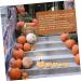 PRETYZOOM 10 Pcs Flannel Foam Pumpkin Fall Decorations for Home Pumpkin Simulation Mini Pumpkin Small Pumpkins Pumpkin Decor Decorative Pumpkins Halloween Pumpkins Bracelets Bulk Ornaments As Shownx4pcs 14X12.5X12.5CMx4pcs - Buy Online on GoSupps.com