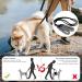 Buy Lollanda Black Walking Aid for Dogs | Support Sick & Older Dogs | Enhance Mobility with Durable Dog Dishes & Carrying Aid - Buy Online on GoSupps.com