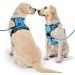 Nestrooad Anti Pull Dog Harness & Leash Set for Large Dogs - Blue XL (Neck 43-64cm Chest 53-89cm) | Comfortable & Safe Dog Walking Solution - Buy Online on GoSupps.com
