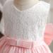 NNJXD Baby Girls Flower Princess Birthday Party Dress Pink-a | Size 12-24 Months - Buy Online on GoSupps.com