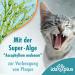 Ida Plus Dental Care Mini Sticks for Cats - Anti-Plaque Treats Freshens Breath Cleans Teeth - 80 Delicious Pieces - Buy Online on GoSupps.com