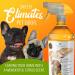 KJOLUNA Pet Stain & Odor Eliminator - Enzyme Powered Solution | 32oz Made in USA - Buy Online on GoSupps.com