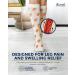 Pembrook Light Compression Socks for Women - 6 Pairs | 8-15 mmHg Cotton | Stylish Circulation Support in Medium Fruit Prints - Buy Online on GoSupps.com