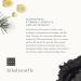 Rituals Homme Gift Set for Men | Sample Size | Cedar & Vitamin E Complex - Refreshing & Stimulating - Buy Online on GoSupps.com