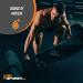 Whey Protein Isolate 90% Powder - Unflavored ISO Protein Supplement - 500g (1.1 lbs) - BulkSupplements - Buy Online on GoSupps.com